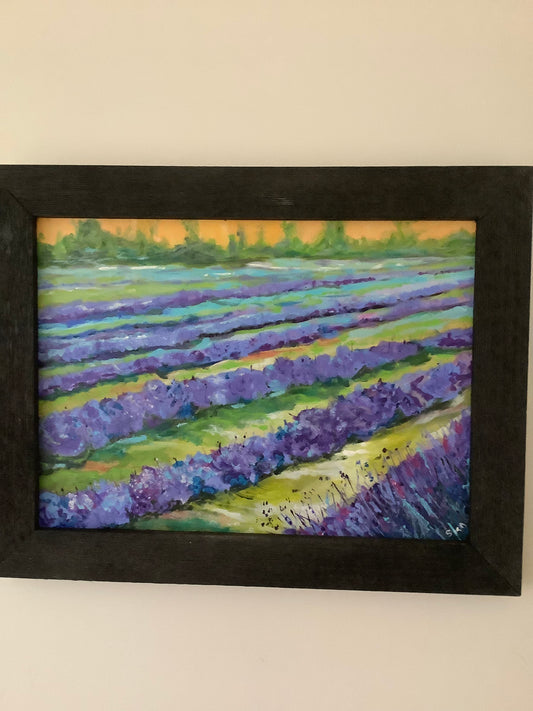 Lavender fields