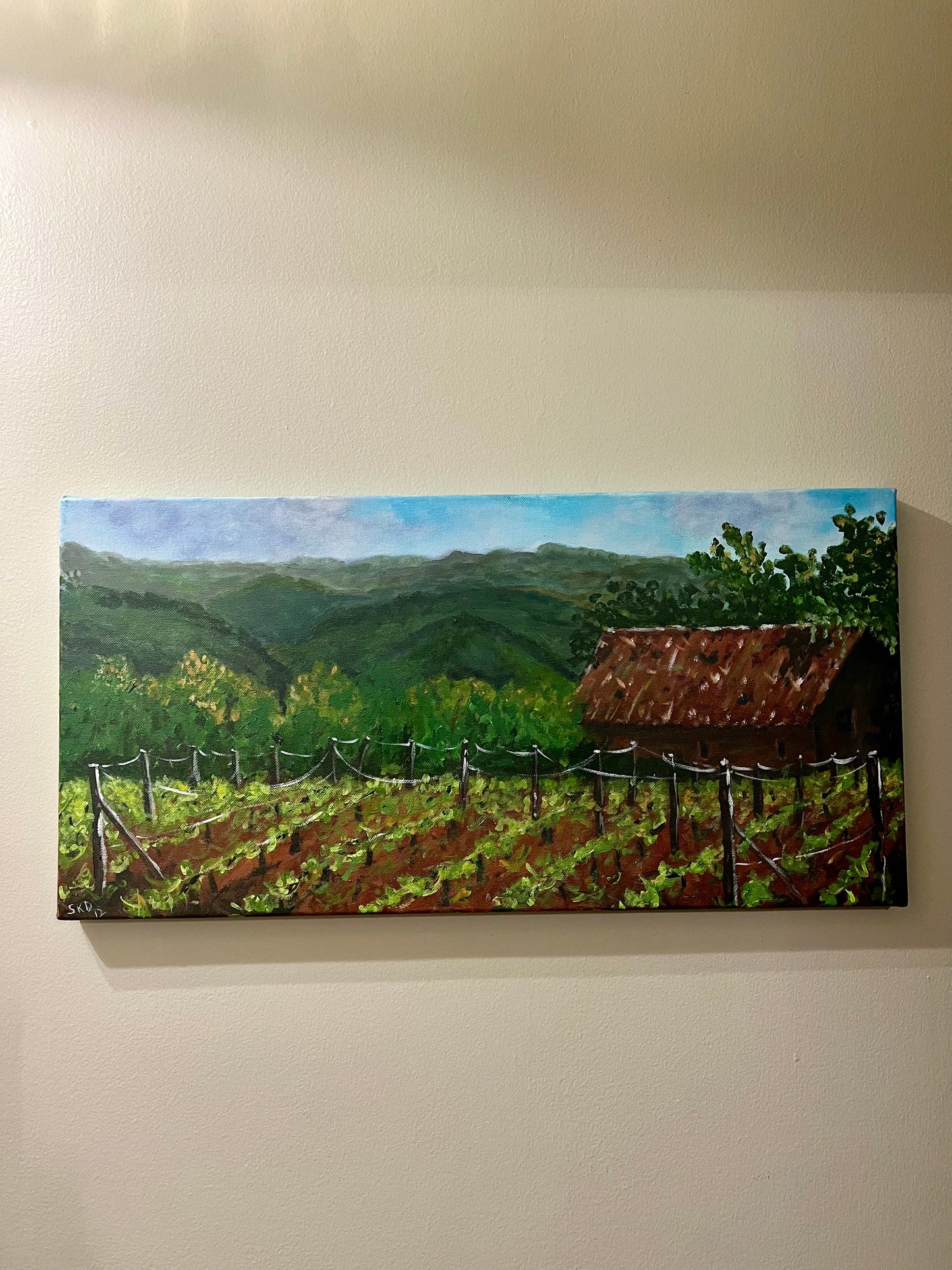 Vineyard